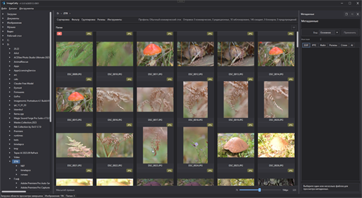 ImageCatty main window with metadata panel open