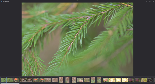 ImageCatty viewer mode with filmstrip