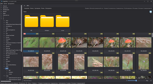 ImageCatty main window with folder tree and file grid