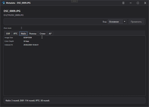 ImageCatty file details tab